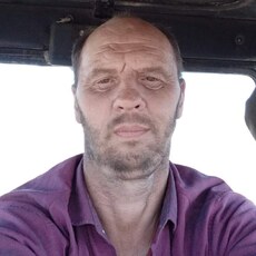 Тим