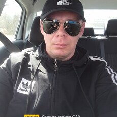 Лев