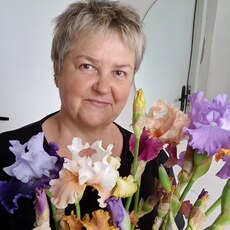 Илона