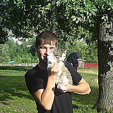 Арсений